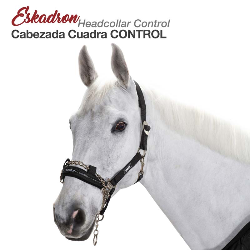 CABEZADA CUADRA CONTROL