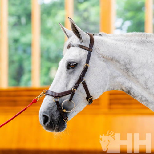 CABEZADA INGLESA HORSEWARE MICKLEM 2 MULTIBRIDLE (SIN RIENDAS)